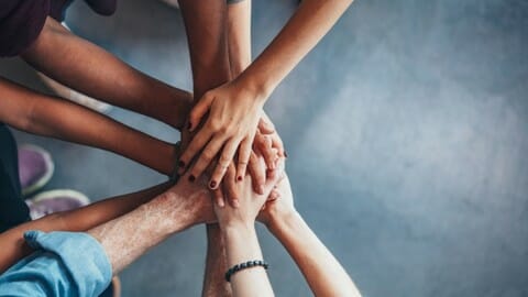 The Art of Building Trusting Coaching Relationships